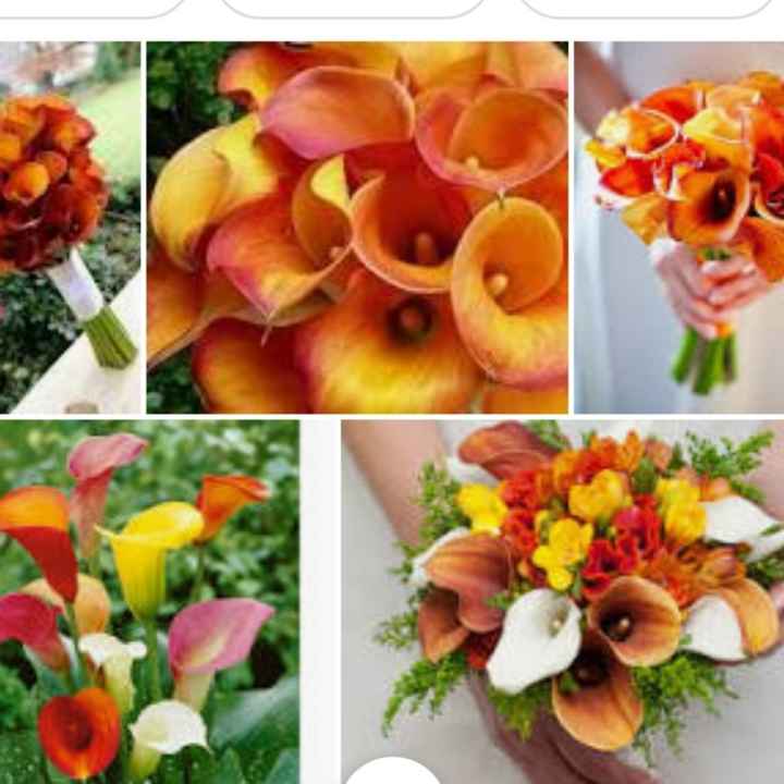 i colori e il loro significato - 2