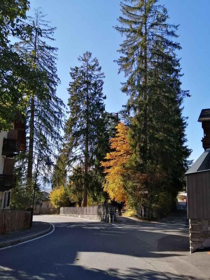 Hotel villa Madonna - 11