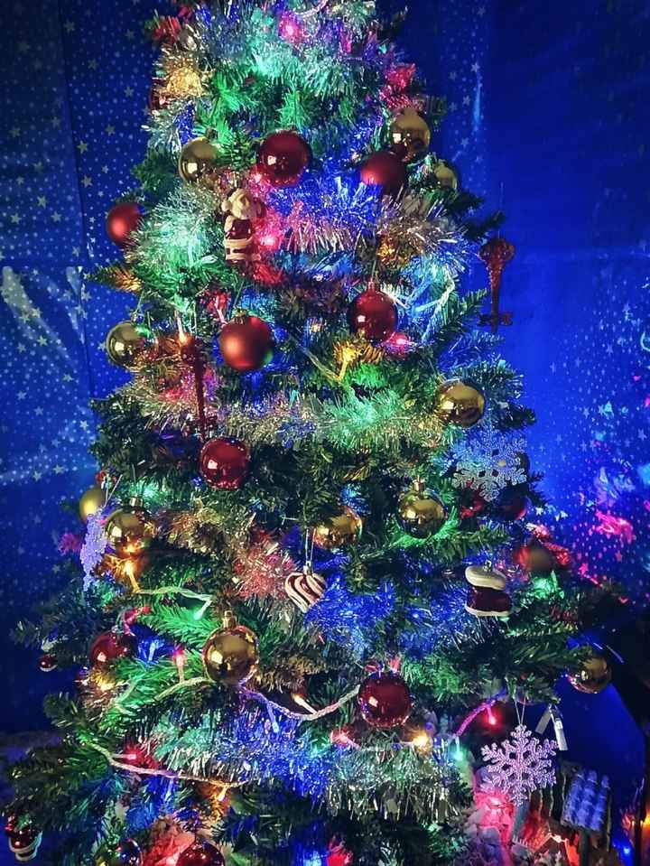 Il primo Natale da sposati 👰🏻🤵🏻 - 2