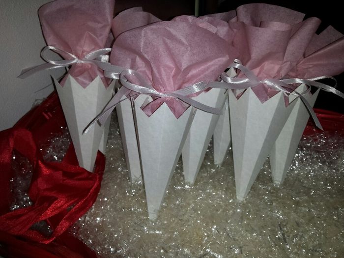 I miei coni portariso - 1