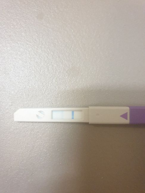 Chi non le aspetta per novembre 2019 - 1