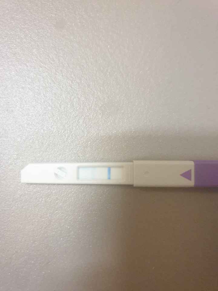 Chi non le aspetta per novembre 2019 - 1