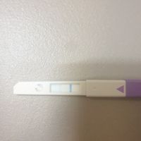 Chi non le aspetta per novembre 2019 - 1