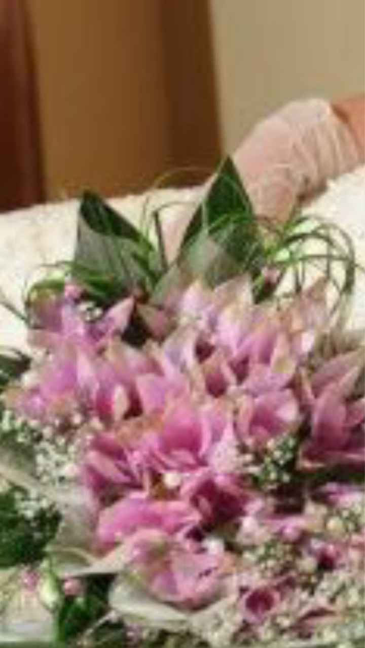 Quale vi piace di più? - 3