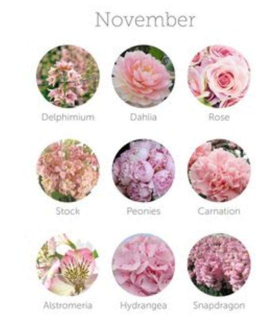 Come scegliere i fiori 💐 11