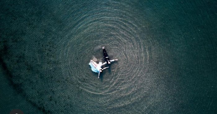 Trash the dress 👗 7