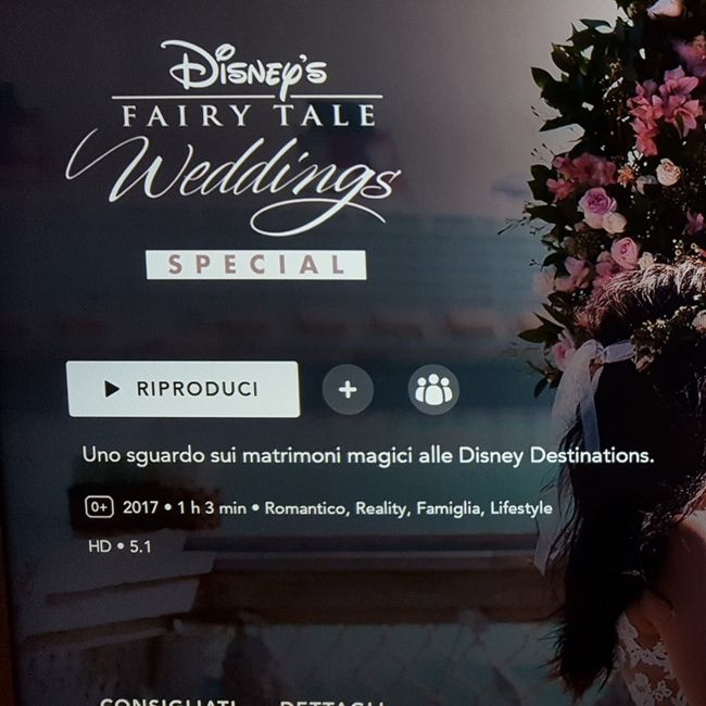 Wedding tales 😍 1