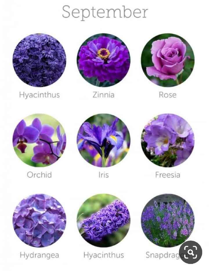 Addobbi floreali economici settembre - 1