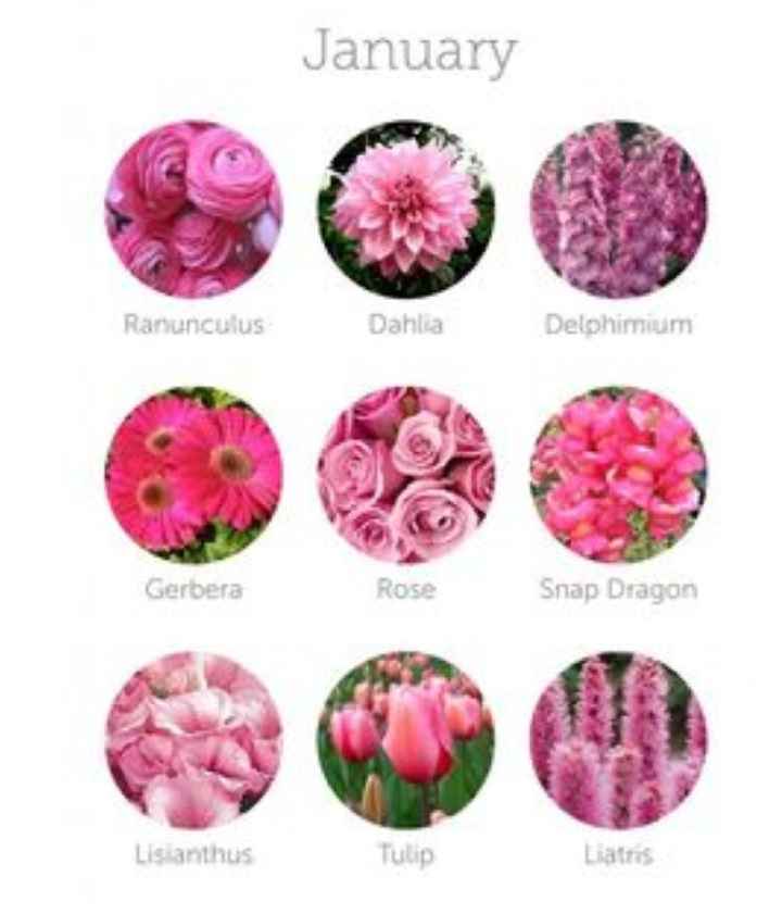 Come scegliere i fiori 💐 - 1