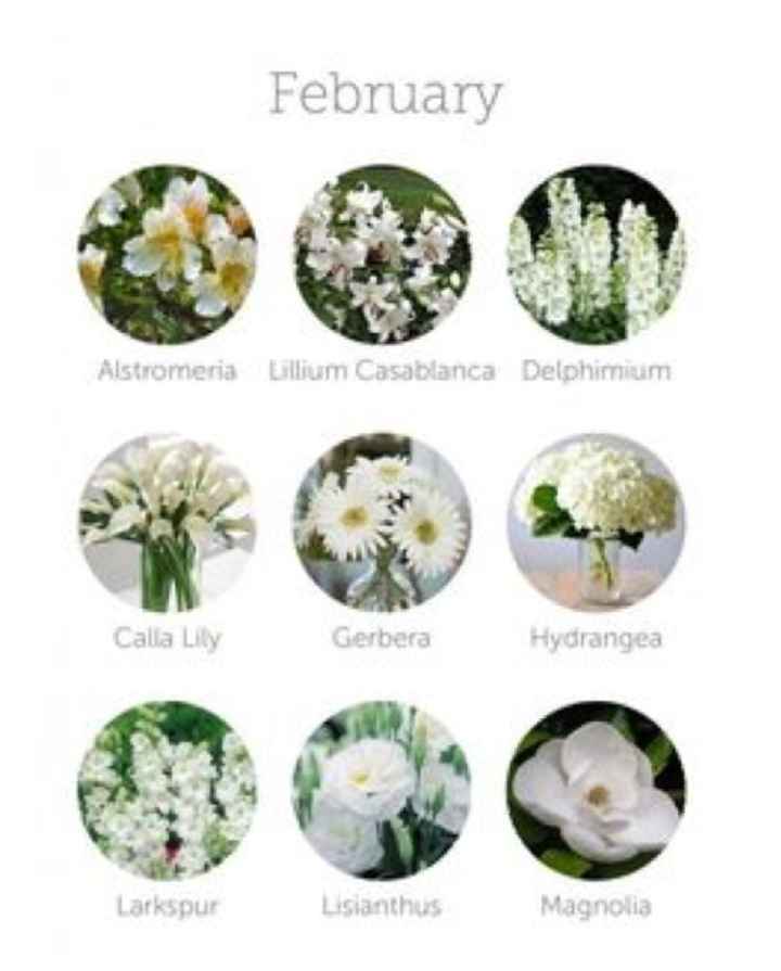 Come scegliere i fiori 💐 - 2