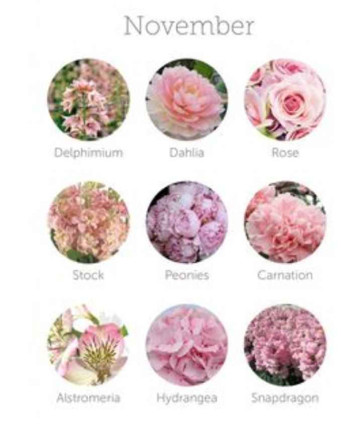 Come scegliere i fiori 💐 - 11