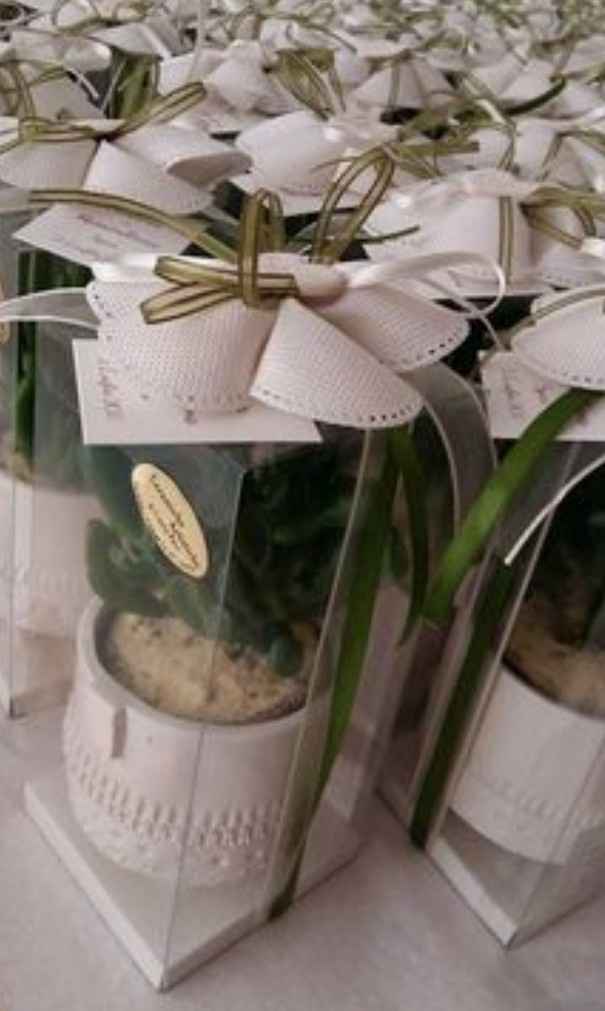 Bomboniere piantine grasse - 1