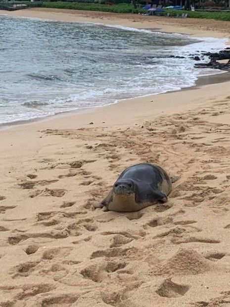 Incontri particolari