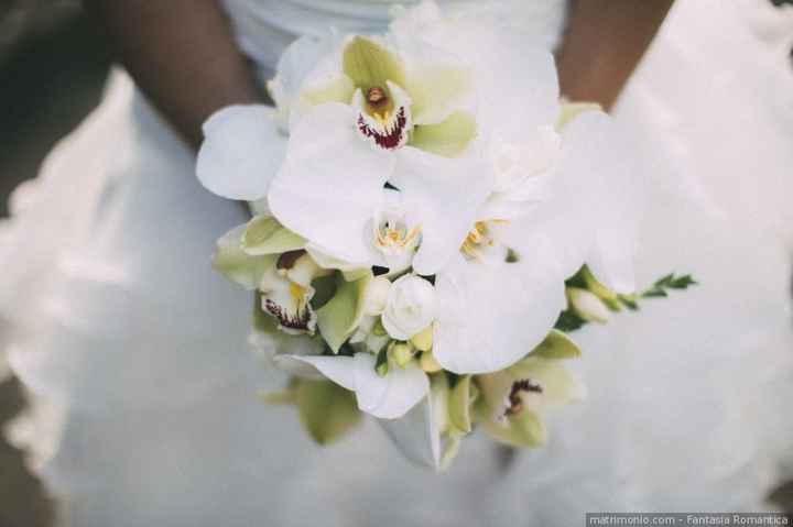 A) Orchidee