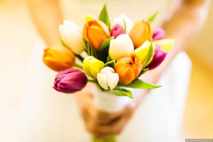 D) Tulipani