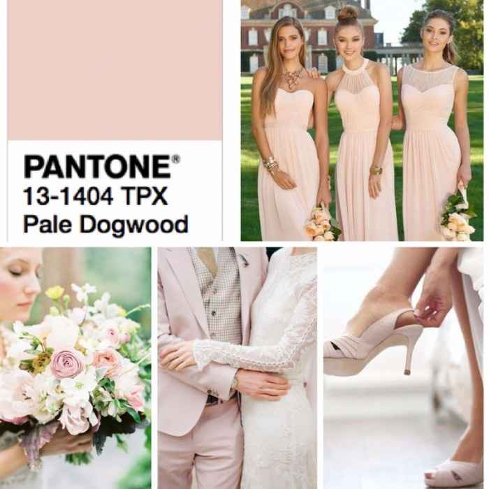 Pale dogwood - Pantone 2017