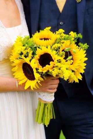 Girasole