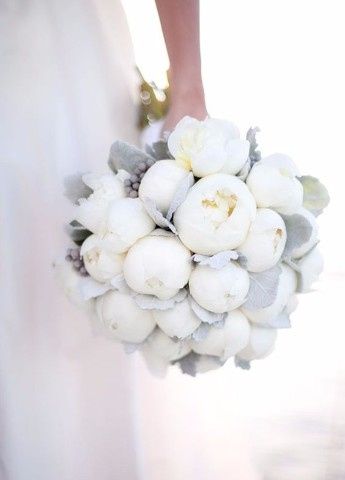 Peonie
