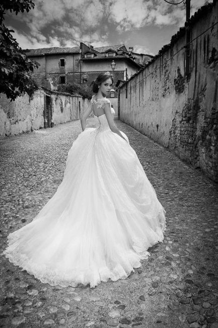 B Principessa