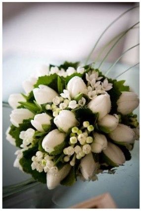 4) Tulipani
