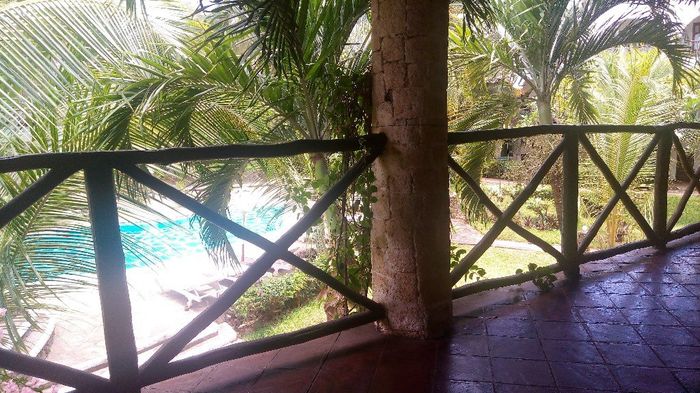 Watamu safari Kenya - 6