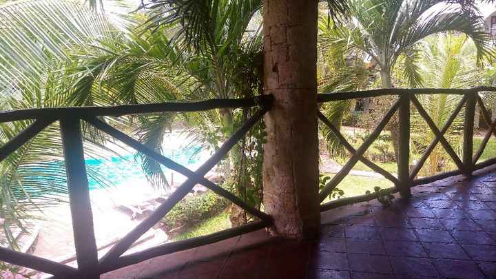 Watamu safari Kenya - 6