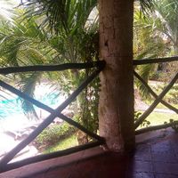 Watamu safari Kenya - 6