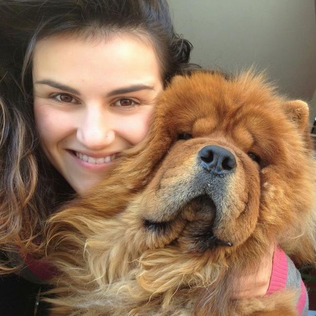 Too cute: i vostri amici animali - 7