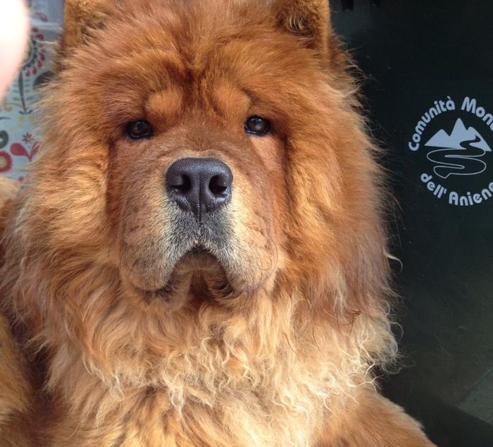 Vivere insieme.... a loro - 1