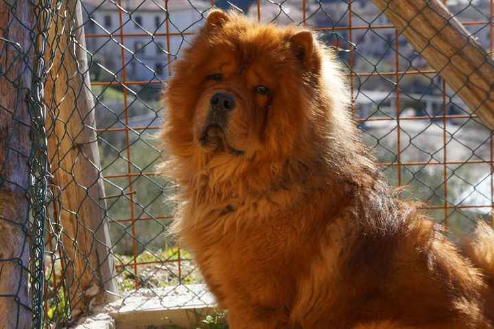 Lei é la mia bimba e la vorrei cme damigella ma in chiesa può entrare!!!!! - 1