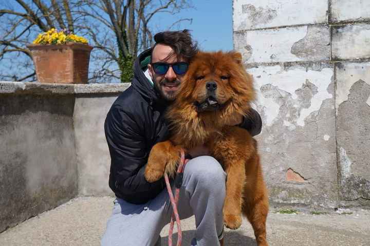 Le foto con i nostri pelosoni - 1