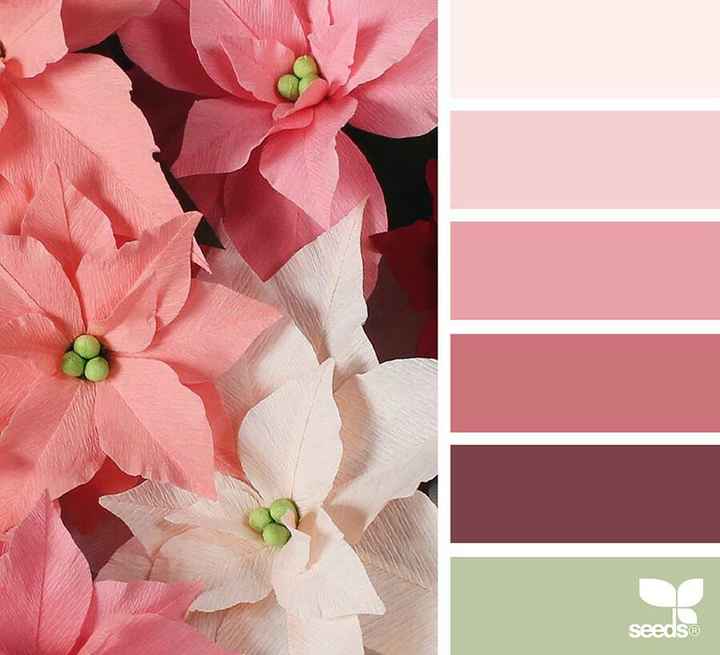 Colore - 4