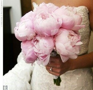 Fiori per il bouquet... il vostro preferito e irrinunciabile? - 5
