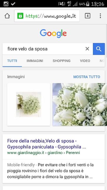 Help per nome di fiore - 1