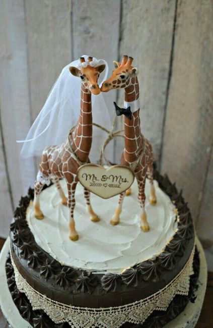 Tema nozze africa e safari - 11