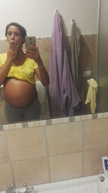 Pancine di settembre. - 2