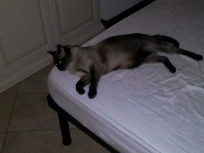 Siamo chico e cuba - 2