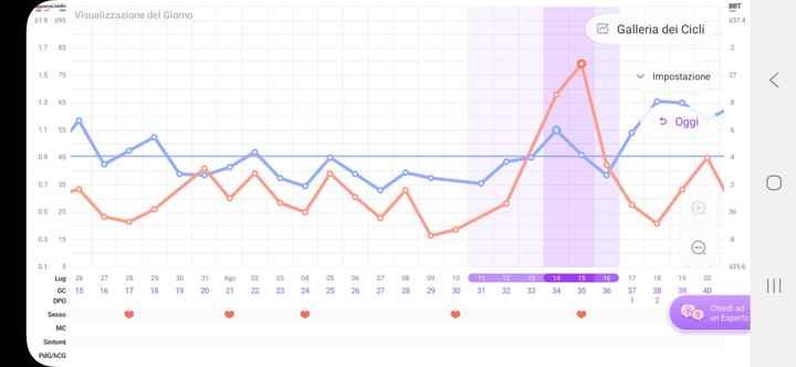 Chi non le aspetta per agosto 🍼🍼🏖️ - 2