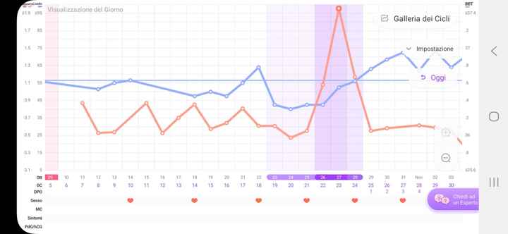 Chi non le aspetta per agosto 🍼🍼🏖️ - 3