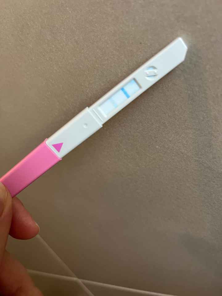 Chi non le aspetta per maggio 2024 🌹💛 - 1