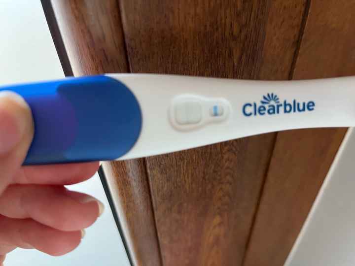 Chi non le aspetta per maggio 2024 🌹💛 - 1