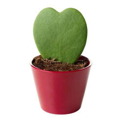 Idee segnaposto - 11