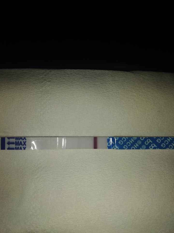 Chi non le aspetta per Aprile 2020 - 1