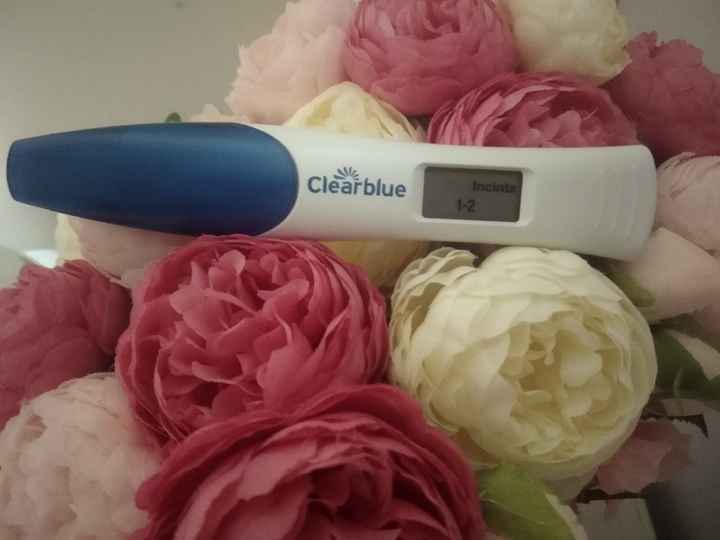 Chi non le aspetta per Aprile 2020 - 1