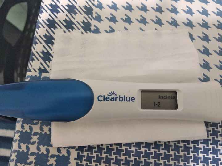 Mammine di gennaio 2021 - 1