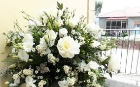 ecco i lisianthus in bianco 