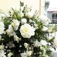 ecco i lisianthus in bianco 