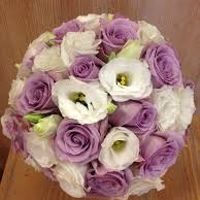 lisianthus