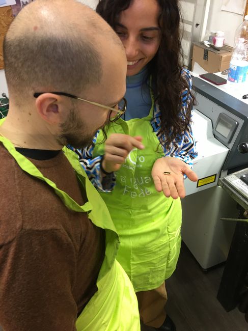 Fedi nuziali 🔗 quanto tempo prima? 1