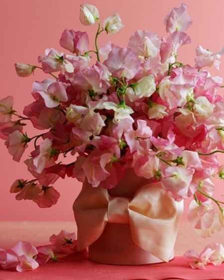 .........................